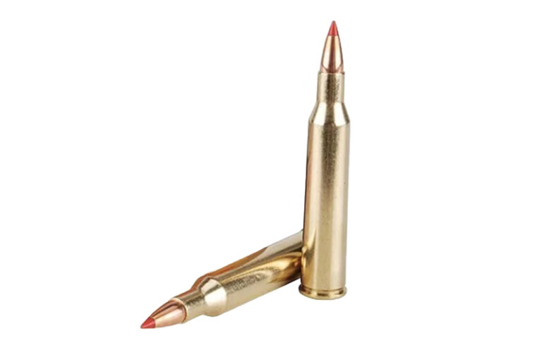 GunDigest's tweet image. .220 Swift: Does Yesteryear’s Speed King Still Reign Supreme?: gundigest.com/gear-ammo/ammu…
