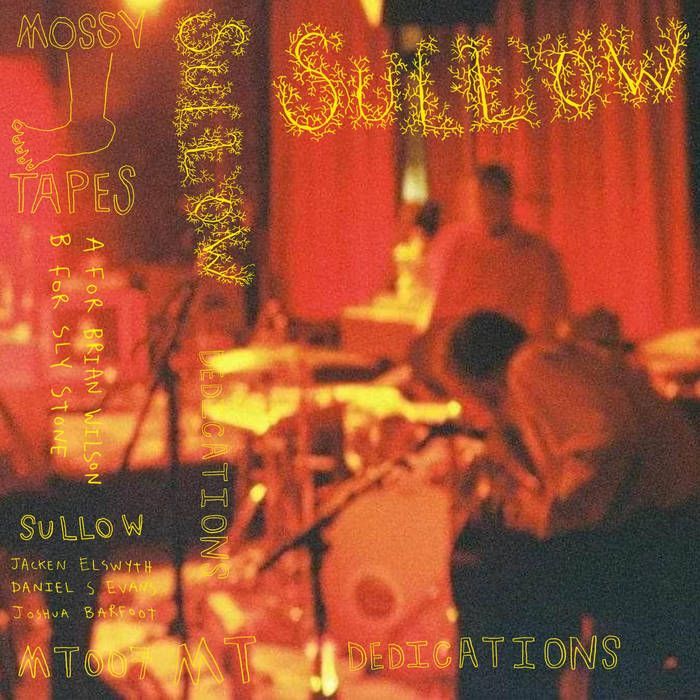 theQuietus's tweet image. 'Made up of #ShovelDanceCollective members Jacken Elswyth, Daniel S. Evans and Joshua Barfoot, Sullow's hypnotic knots of banjo, guitars, dulcimers and drums come from an understanding of traditional music as malleable and open ended'
Sullow - Dedications: Cassette Reviews for…