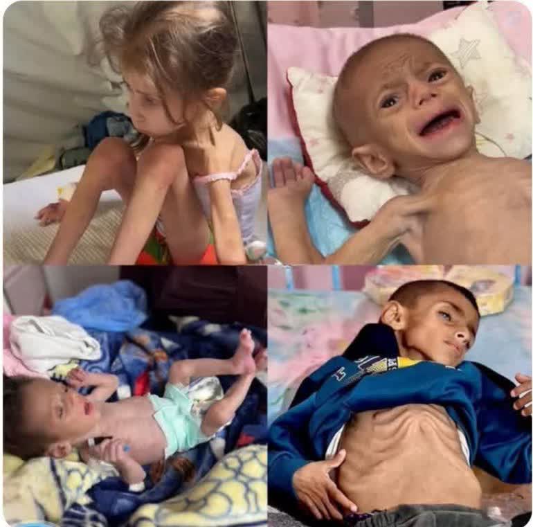arefeh_61's tweet image. کمک غذایی کشورهای دیگه به غزه رسیده
صهیونیستها دارندجلوشو میگیرندو نابود میکنند
بحران غذا در غزه وحشتناک
شده
خدایا تورا به شهید کربلا
قسم ات میدهیم
عجل لولیک فرج