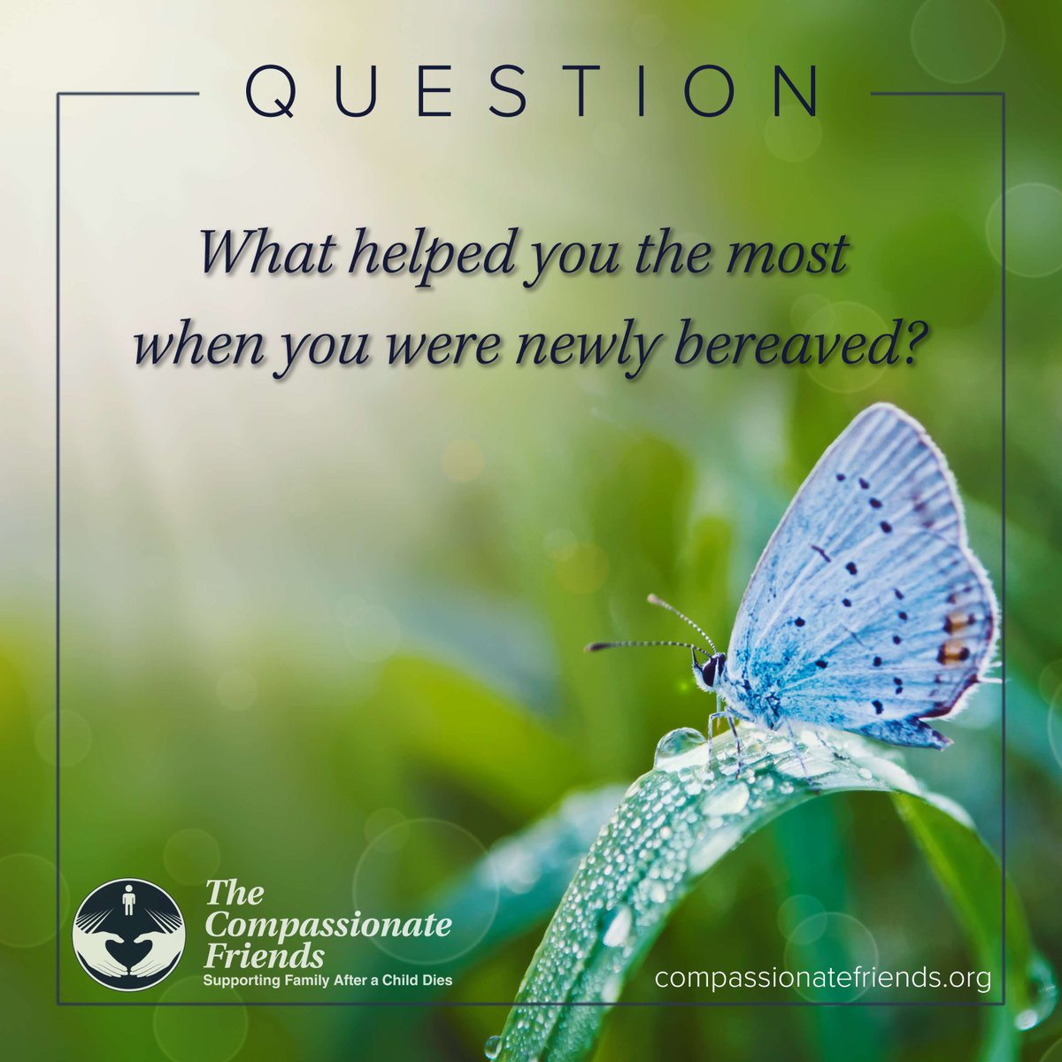 We would love for our TCF community to share their thoughts to our question, "What helped you the most when you were newly bereaved?"

 #GriefSupport #GriefCommunity