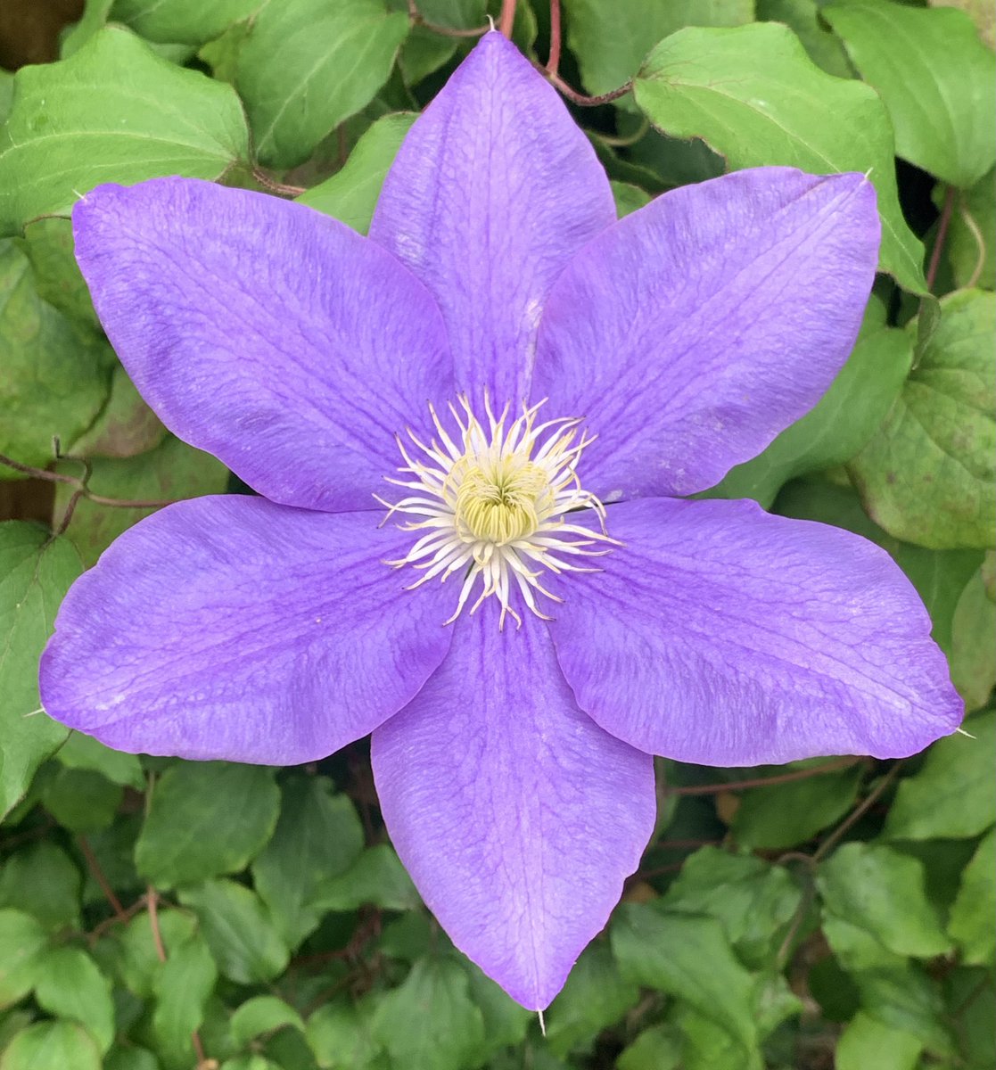 Mark Shephard 🏳️‍🌈 tweet media