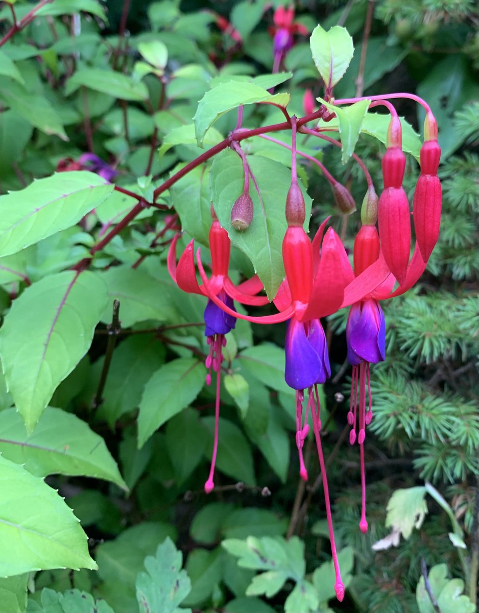 Mark Shephard 🏳️‍🌈 tweet media