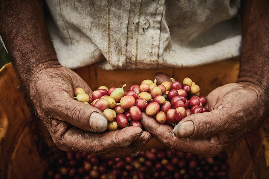 CommArts's tweet image. CA Winner: @ClayHaynerPhoto. “A Coffee Story”
Documenting the process of the coffee bean from the plant to the factory to the shipping to the packaging to the coffee pot and everything in between. ow.ly/VRIF50WiiT2