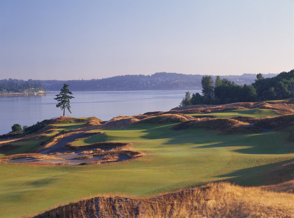 RTJ2GolfDesign's tweet image. Still the king. Chambers Bay tops Golfweek’s list again as the #1 course in Washington—pure links, towering dunes, and views that never quit.