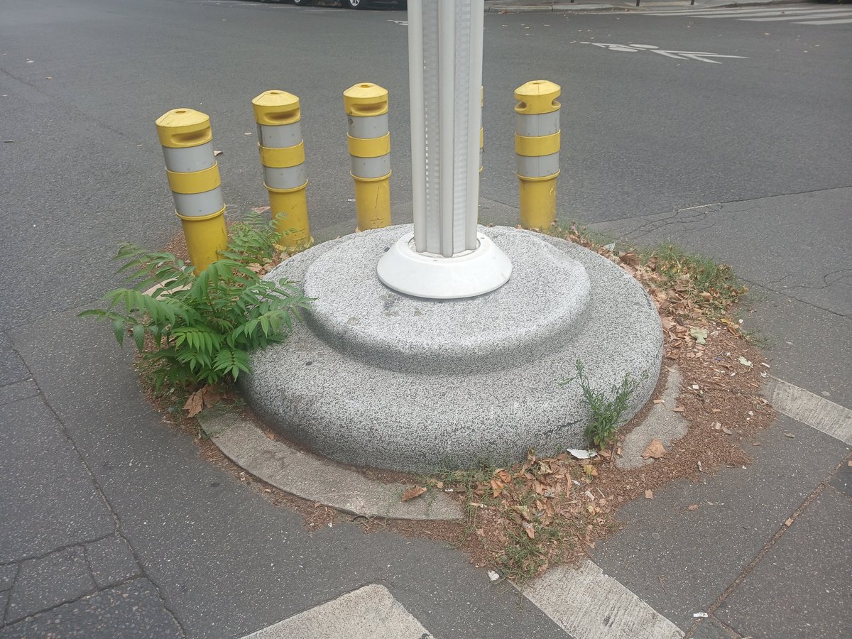 Plumedaliocha's tweet photo. On ne se lasse pas des embellissements hidalguiens. Boulevard de Courcelles https://t.co/O2BkMmLgu6