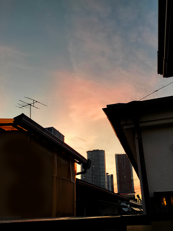 sakurai_satomi's tweet photo. #sunrise #julymorning https://t.co/LAjSMZXHsZ