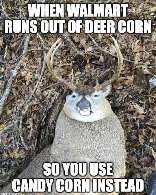 LeeMSnow's tweet image. Listen… when Walmart runs out of deer corn, you do what you gotta do.
I ain’t proud, but it worked. 😂🦌
#HunterHack #CountryProblems #BackwoodsBlessings