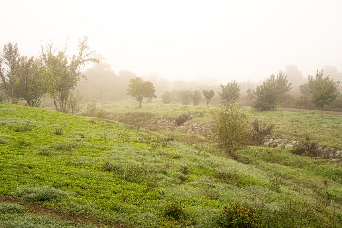 Es el primer trámite de los varios que quedan para que empiecen los trabajos de la Fase II del Parque Central, pero desde el Ayuntamiento hemos aprobado el expediente para la redacción del proyecto definitivo.