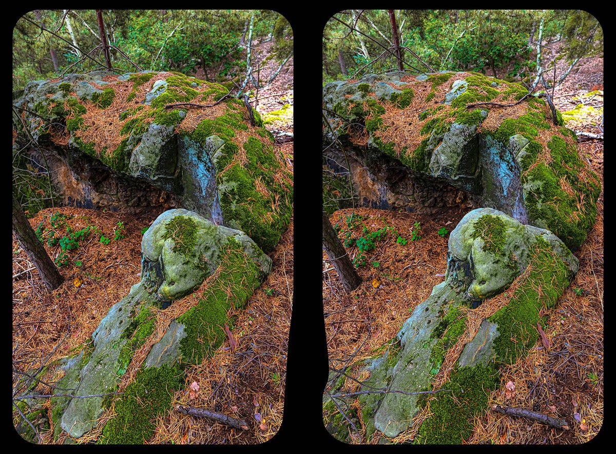 #3D #Stereoscopy #Kreuzblick #Crossview #Harz #Stereo3D