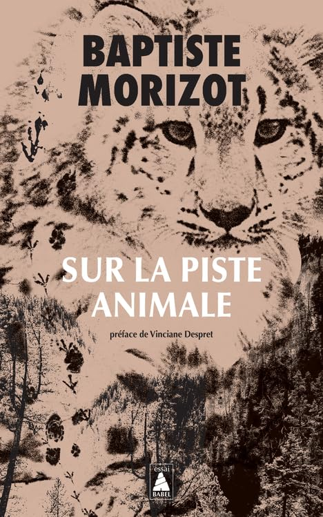 ahmedgoks's tweet image. 🟥Sur la piste animale
"İz sürme", "İz bırakma" vb. kavramlar üzerine felsefi bir soruşturma.
🔗actes-sud.fr/sur-la-piste-a…