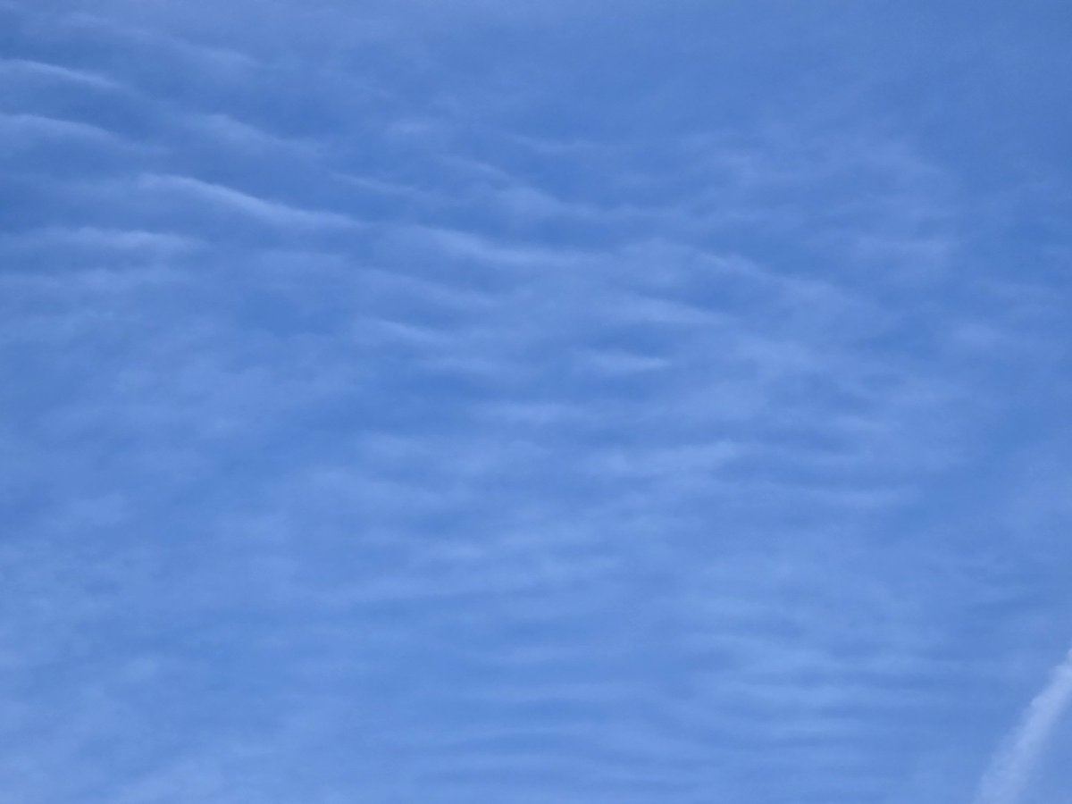 jesseRoss597206's tweet image. For the newly awakened. This is live 4pm. Michigan is being microwaved right now and as a result of this tyranny the chemical metal reflective particles the planes sprayed are taking shape of the EMF these towers are emitting. Headache, heartache, joints, dizziness, brain fog ect