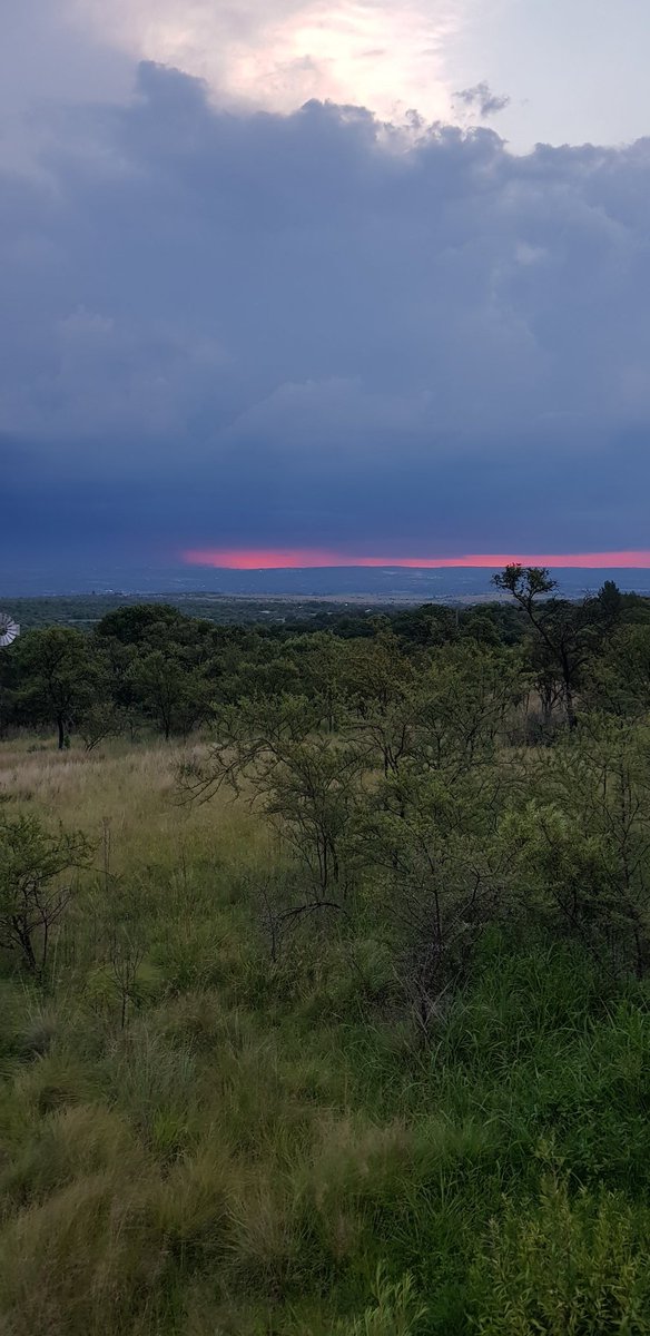 Not all storms are in the forecast, it's about how you wither them
#Tiffie