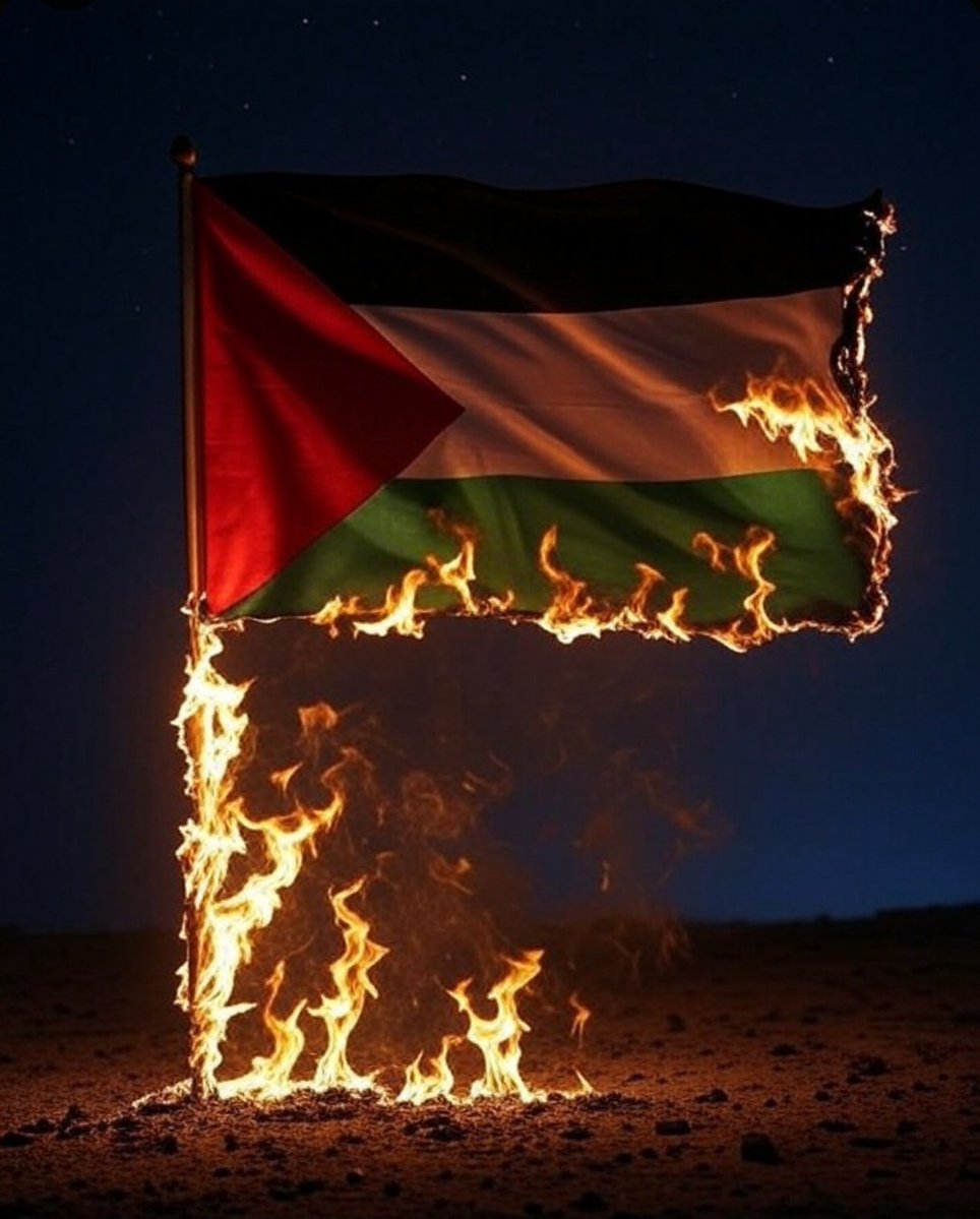 vatan____parast's tweet image. فکت تلخ :
بعد از ماجرای 7 اکتبر هر کس هنوز طرف فلسطین و غزه ایستاده باشه قطعا نطفش حرامه