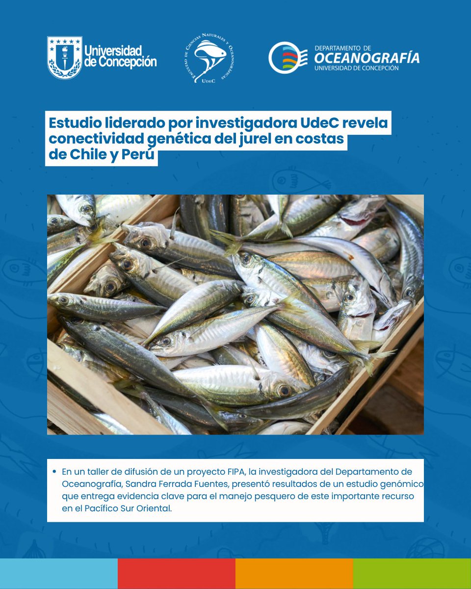 Departamento de Oceanografía UdeC tweet media