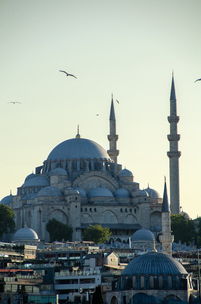 Ali Said Asal (@alisaidasal) on Twitter photo 