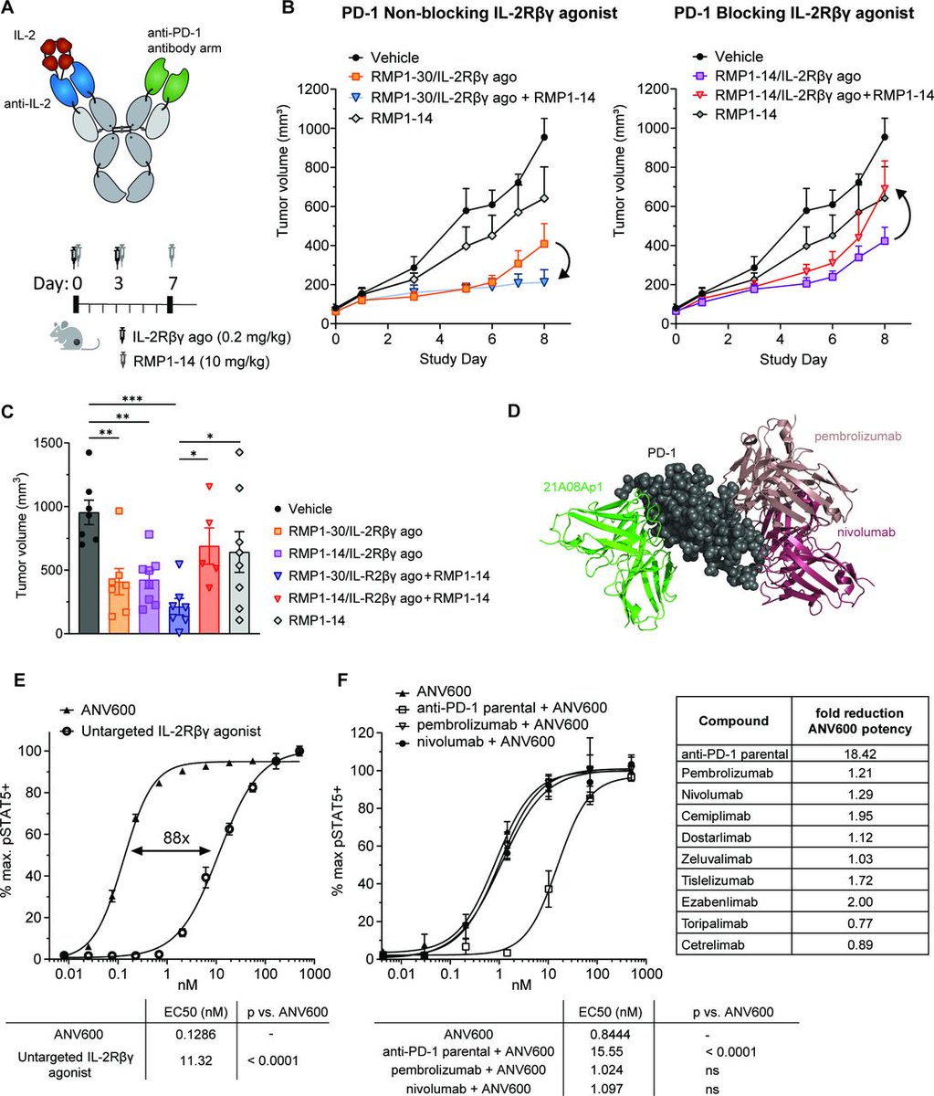 New #JITC article: ANV600 is a novel PD-1 targeted IL-2Rβγ agonist that selectively expands tumor antigen-specific T cells and potentiates PD-1 checkpoint inhibitor therapy bit.ly/4eVYBpa