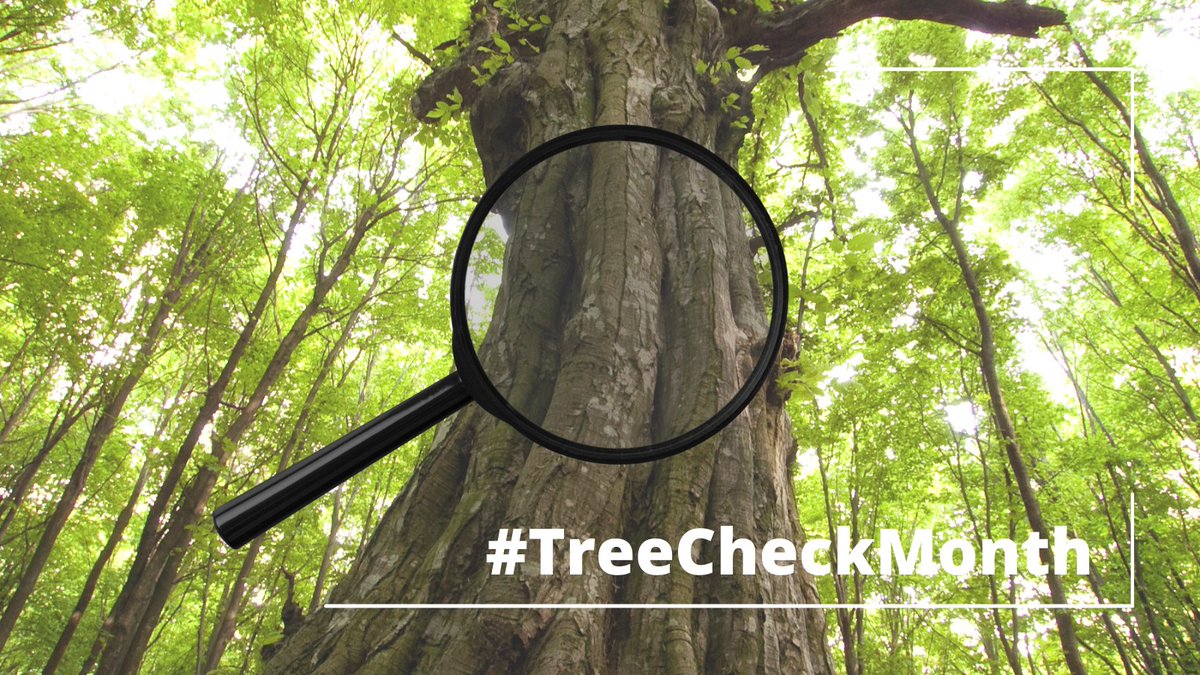 Happy #TreeCheckMonth!
An invasive insect, the Asian Longhorned Beetle (ALB), is out &amp; about this time of year. The <a href="/USDA/">Dept. of Agriculture</a> is asking you to take 10 minutes to check your trees for signs of the ALB.
Learn what signs to look for &amp; what to do if you see them: bygl.osu.edu/index.php/node…