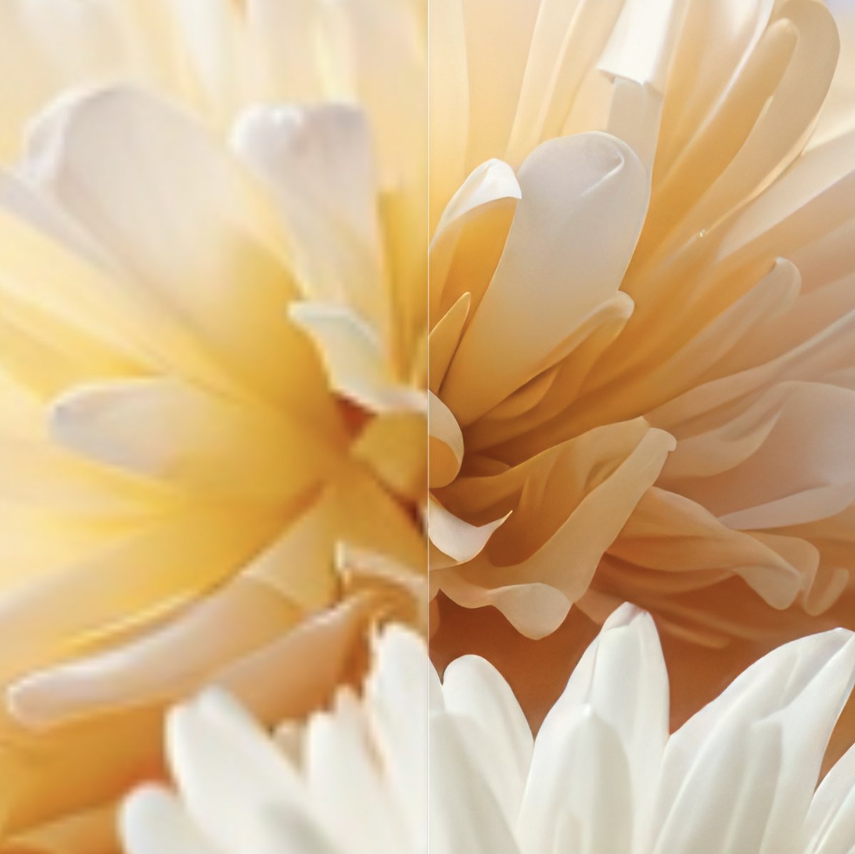 Kerroudjm's tweet image. I’m still blown away by the sharpness I get with @topazlabs Bloom. Going from 1024x1024px to 8192x8192 (8x) 🤯
I extracted a few samples and the texture quality of stone, glass and plants is just insane!
If you work in marketing or design, this tool is pretty much essential.…