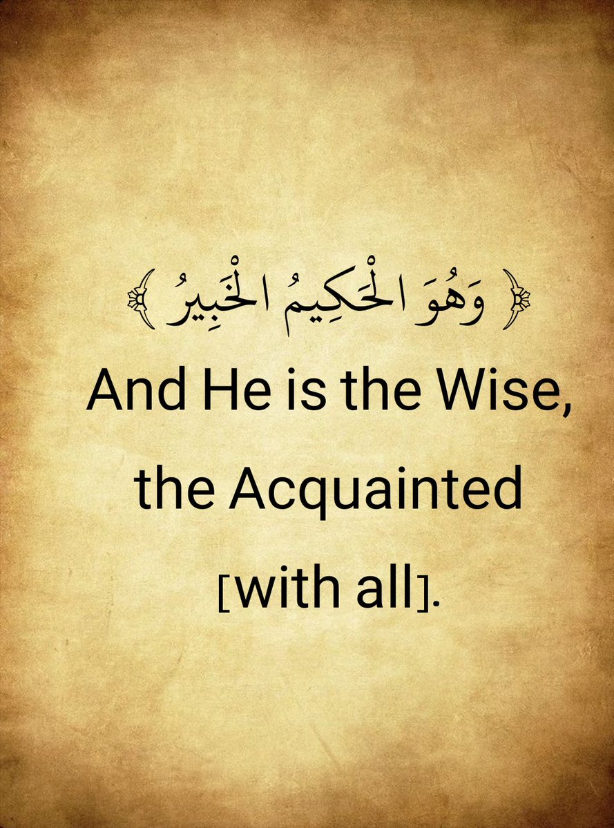 The Holy Quran (@almosahfen) on Twitter photo 