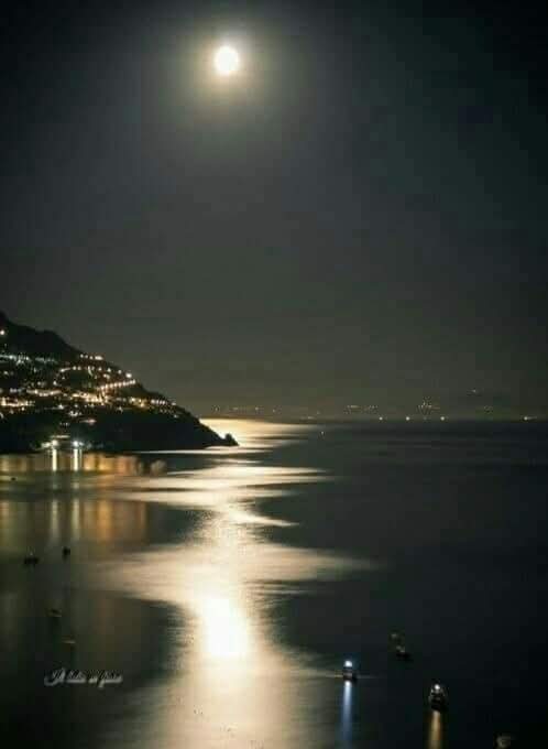 themiskossiori's tweet image. "Τη νύχτα, ακόμη και οι σιωπές μπορούν να πουν όμορφες ιστορίες."
~ Marina Maiello ~