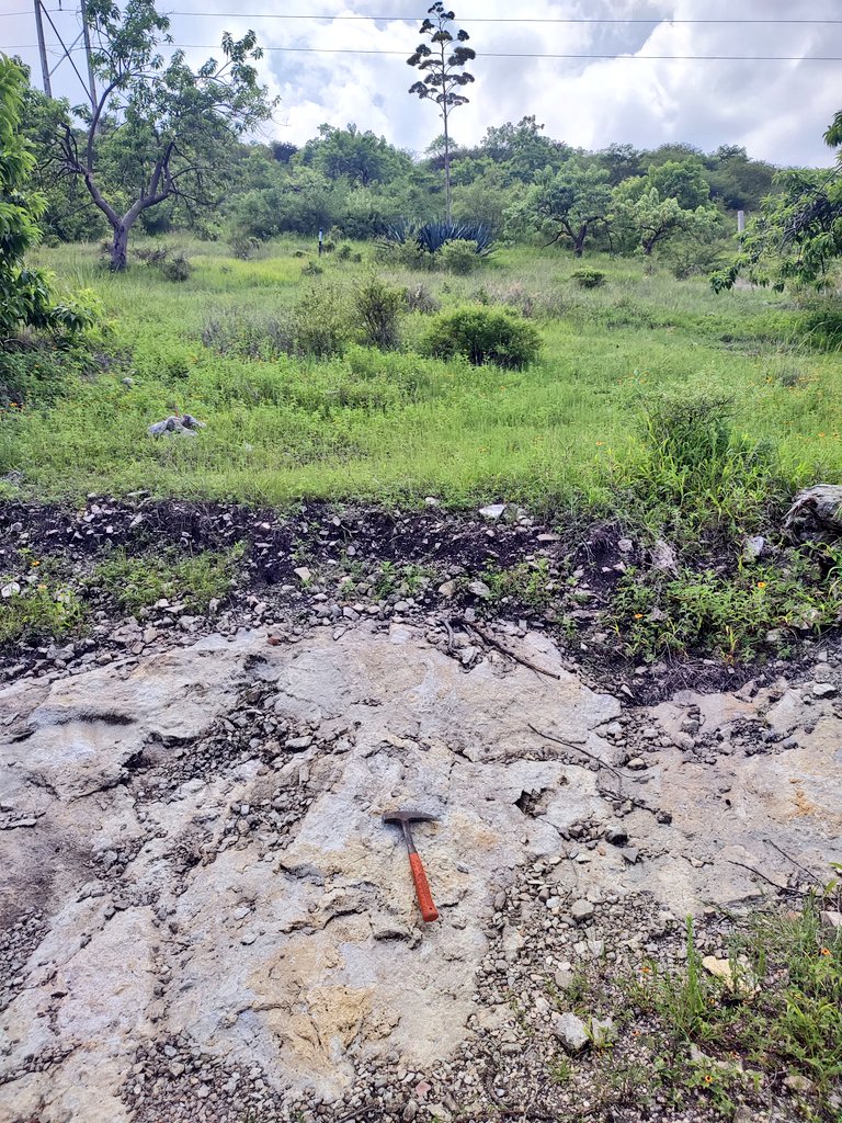 asalmendez's tweet image. Make Earth Science Great Again ⚒️
