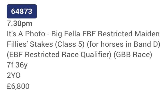 JohnWathenBerry's tweet image. Great coverage on @SkySportsRacing of @tommoracing’s last shift of commentating @ Wolverhampton tonight. @SimonMapletoft perfect master of ceremonies for a v. special occasion. Tommo has been (& remains) such a big part of the game. Great work by @WolvesRaces with the race names.