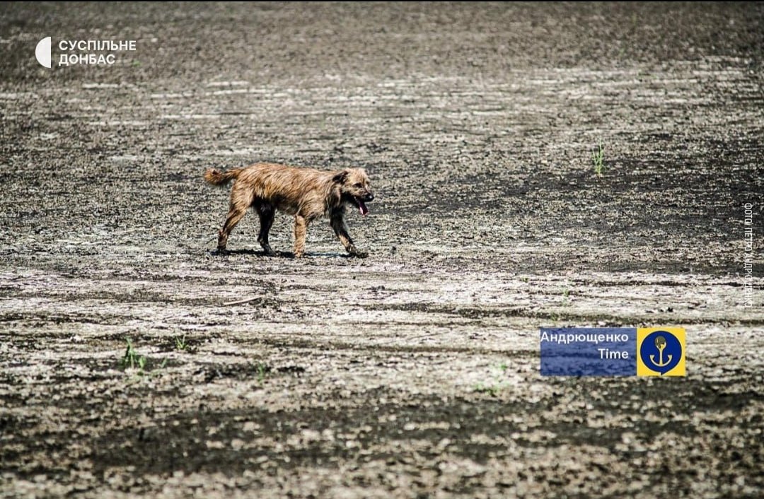 Vijesti11111's tweet image. The Khanzhonkiv reservoir in the temporarily occupied territory of the Donetsk region has completely dried up.
This reservoir was a source of drinking water for Donetsk, Petro Andryushchenko reported.