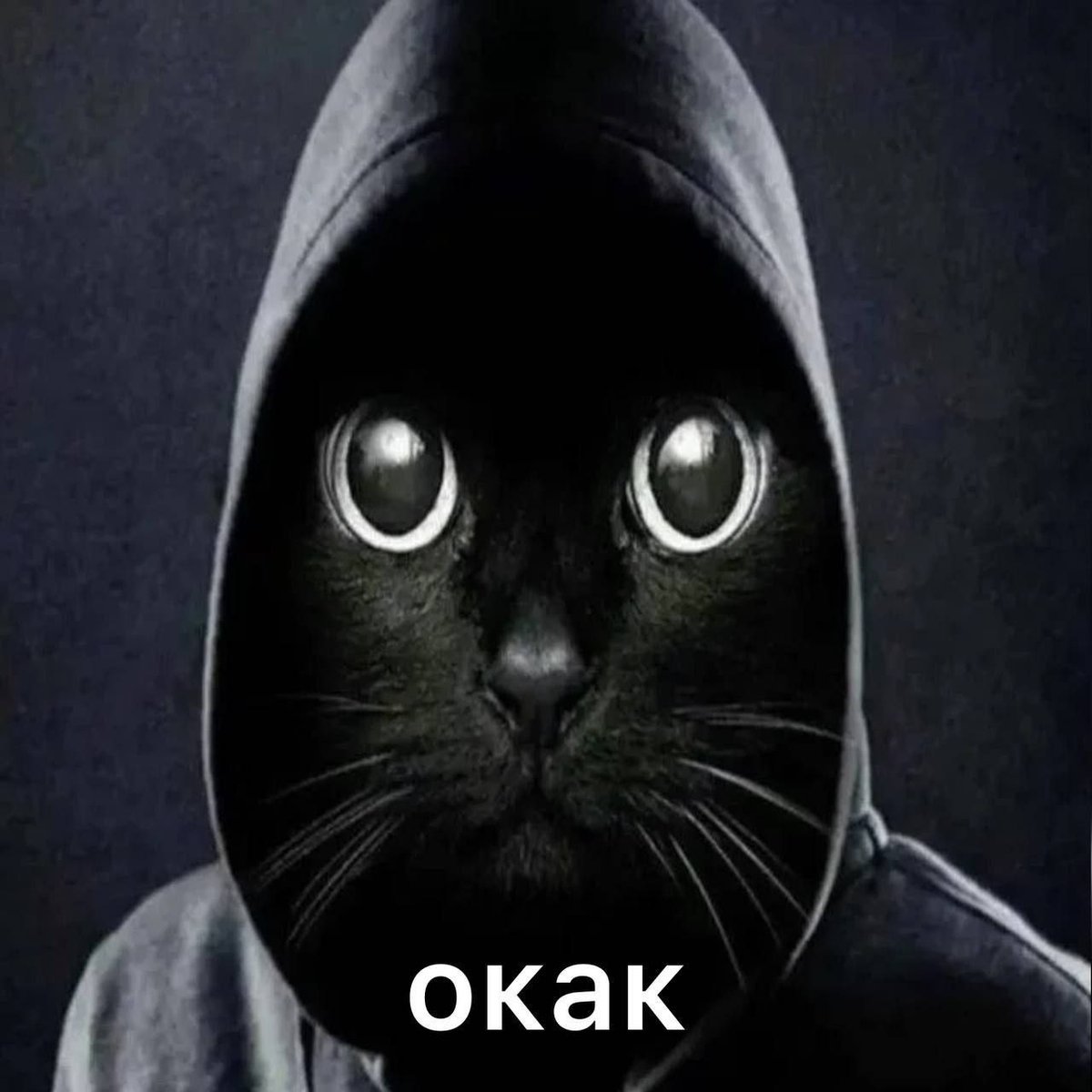 <a href="/WhaleEverything/">WHALE 🐳 EVERYTHING</a> A good buy is made when you acquire $OKAKCOIN and be rest assured the pump will happen and stay there for long!
CA:
HoGusVwKmzBxQeRXu1vas5433ApZdTFTzYHMWMrubonk
<a href="/okakcoin/">Окак</a>
