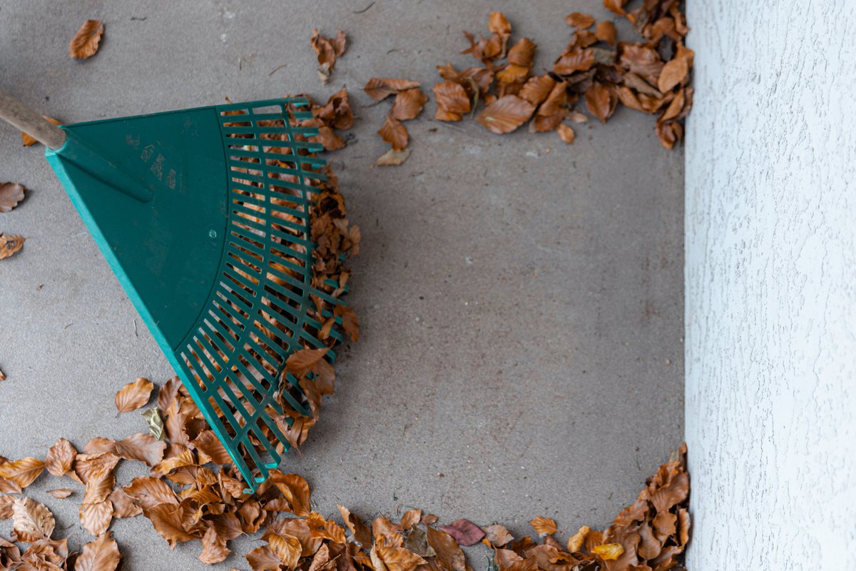 BCFireSmart's tweet image. Now is a great time to address wildfire risks around your property! A couple of good places to start include cleaning out your gutters or clearing flammable debris from under your deck.
For more FireSmart tasks, visit: begins-at-home-guide.firesmartbc.ca