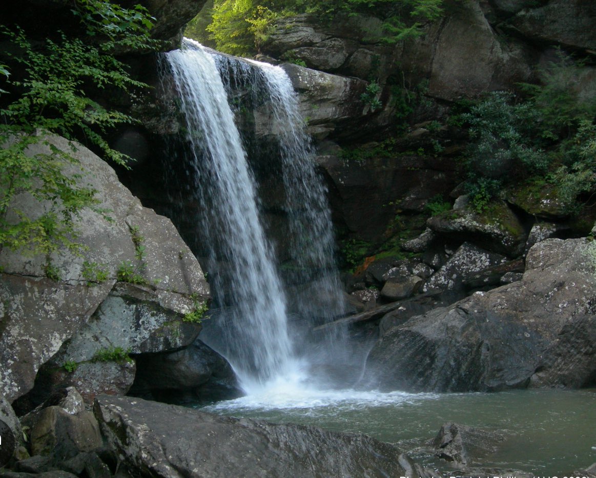 Feral_Socrates's tweet image. Soon Im gonna hike to an ancient waterfall deep into the Appalachian Mountains with my dog & camp there ….. and eat some shrooms
I need this 🌀