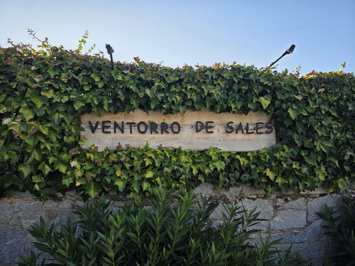 Palabras que antes no tenían sentido para mí y que ahora me hacen sentir ASCO. #MazonDimissio