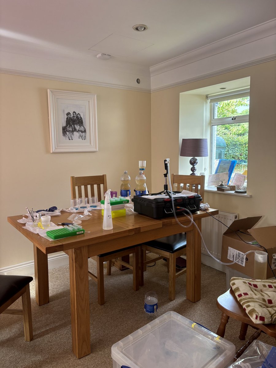 Heading into our final week in the field! 💪🏻

#freshwater #fieldwork #eDNA