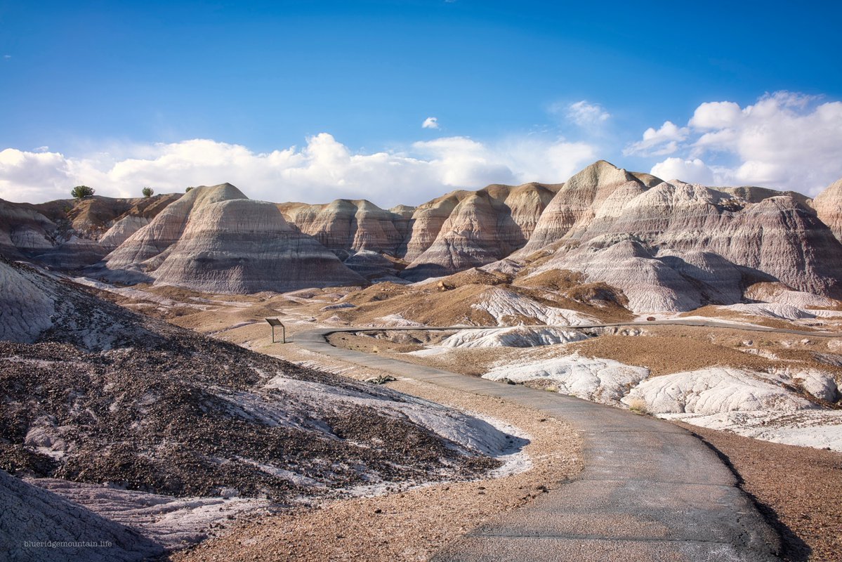 blueridgem_m's tweet image. Along the way….
Blue Mesa, Petrified Forest NP, Arizona.