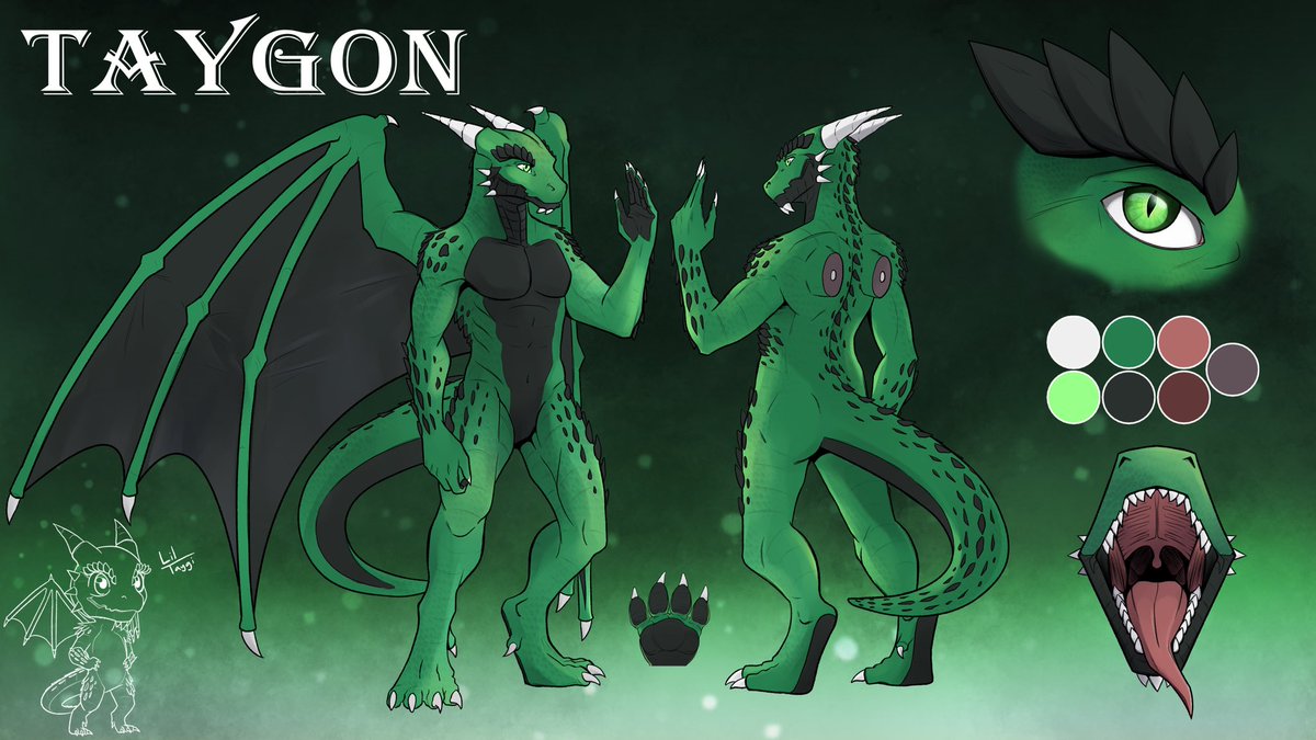 Tygon the Dragon tweet media