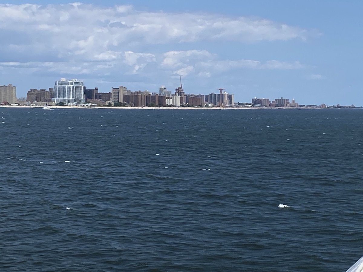 witzshared's tweet image. Coney Island, Verrazano and Lady Liberty. What a long trip it’s been