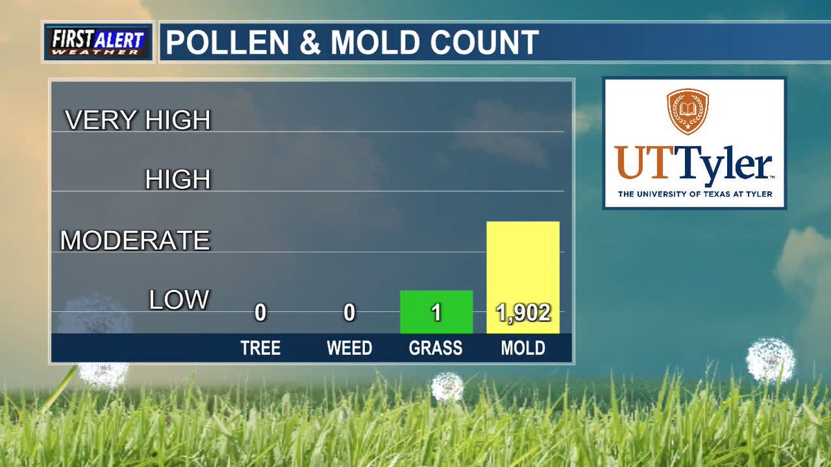 KLTV7's tweet image. Here is your Pollen/Mold Count from UT Tyler and KLTV for Tuesday, July 22nd. #pollen