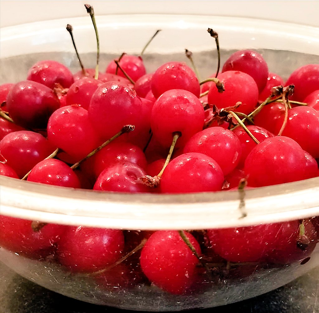 grapesunwrapped's tweet image. If this is life, does that make the ensuing pie heaven? Nah...it's all just metaphor anyway.