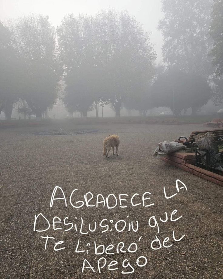 ramé (@escritosrame) on Twitter photo 