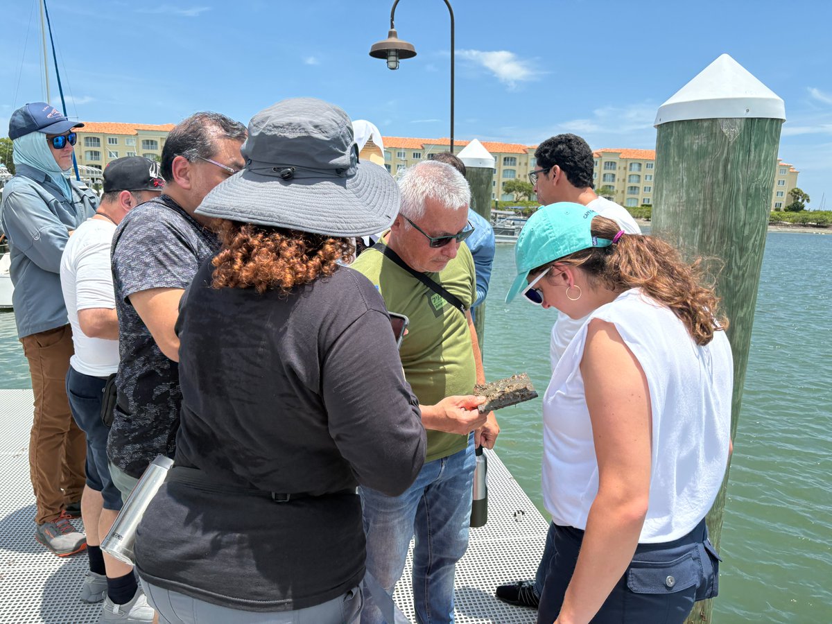 SImarineGEO's tweet image. Kicking off Day 1 of our MarineGEO Monitoring Modules (3M) Workshop at @SmithsonianSMS! Faculty from 5 countries are learning to bring MarineGEO protocols into undergrad courses—starting with the fouling community protocol. Excited to collaborate &amp;amp; build ocean literacy together!