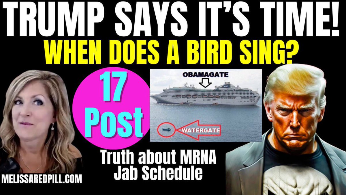 MelissaRedpill's tweet image. See you at 6PM CST today!
It's TIME! Trump said!
rumble.com/v6wjf58-trump-…