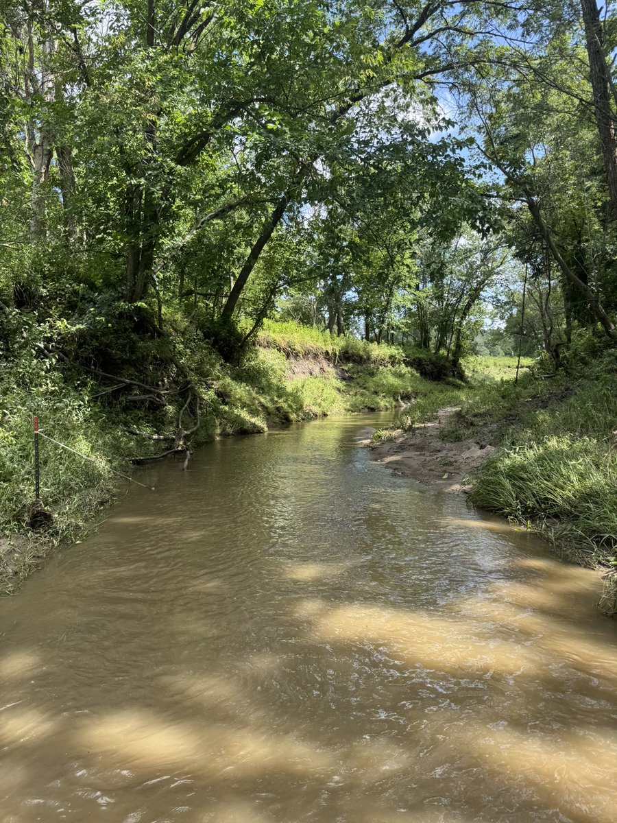 tgmiller46's tweet image. If anyone can believe it this creek being full to the top of the banks washed this water gap out