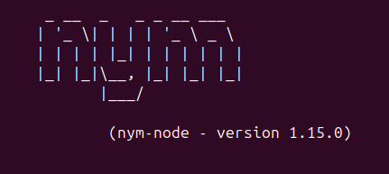 Updating my nym-nodes ... Feeling a part of the descentralized infra. 🥰🚀🧑‍💻