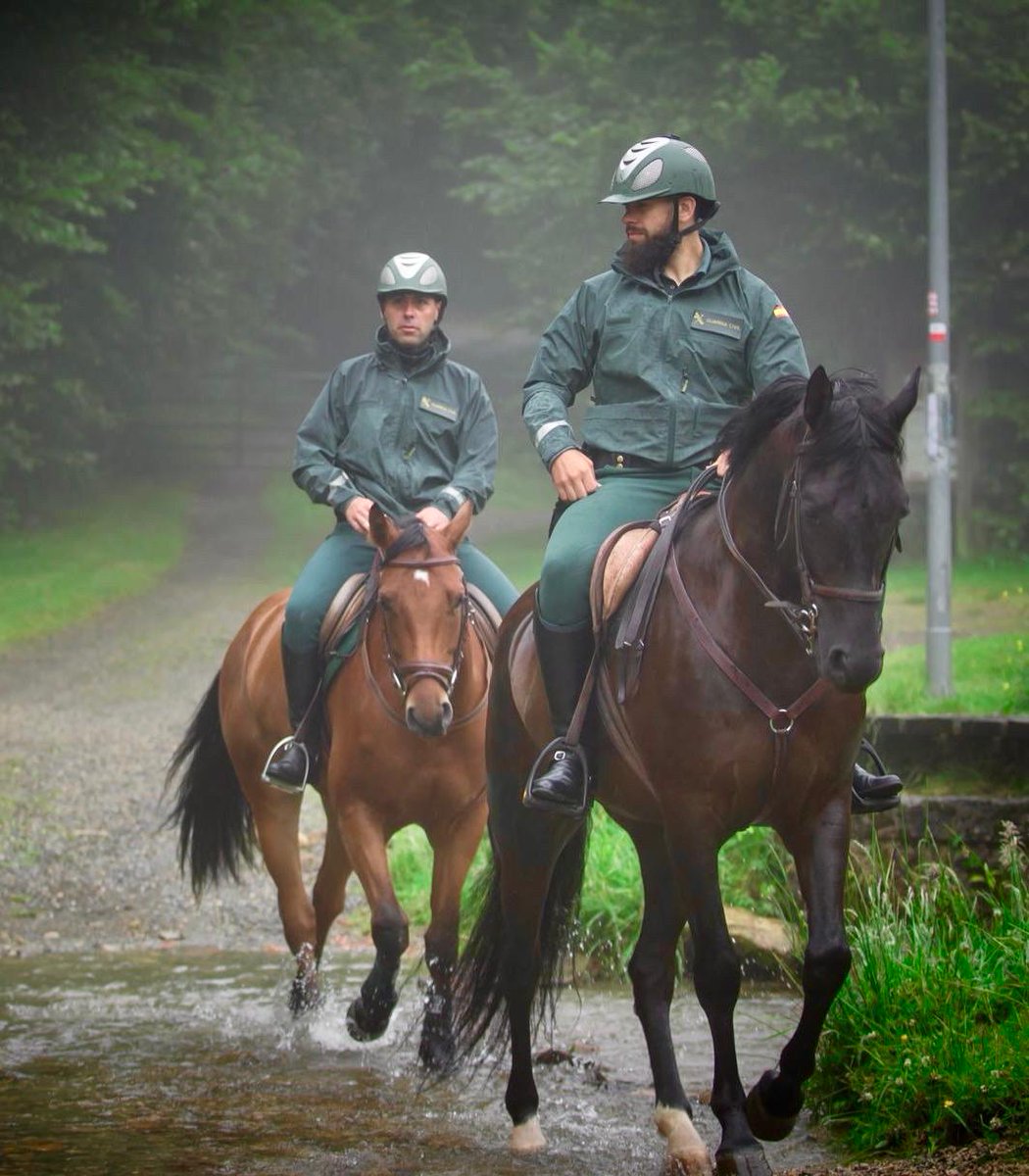 NavarraGC's tweet image. Una nueva jornada para los jinetes del Grupo de Caballería de la Guardia Civil que prestan servicios preventivos y de auxilio en el Camino De Santiago
📍Roncesvalles, Navarra
Prepara el Camino con seguridad, consulta la climatología y lleva ropa de abrigo, descarga AlertCops