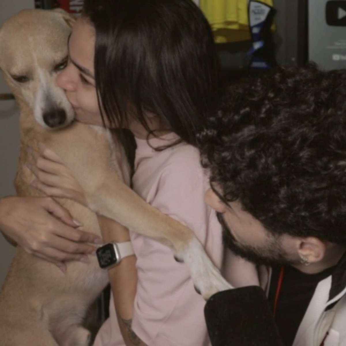 Cortes do Stag tweet media