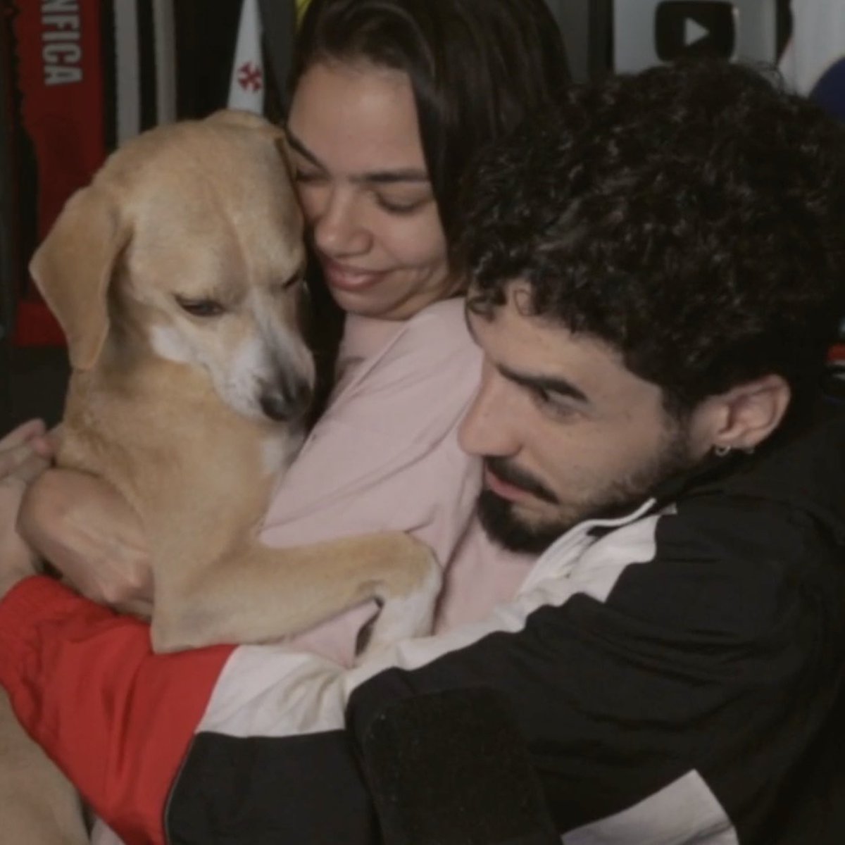 Cortes do Stag tweet media