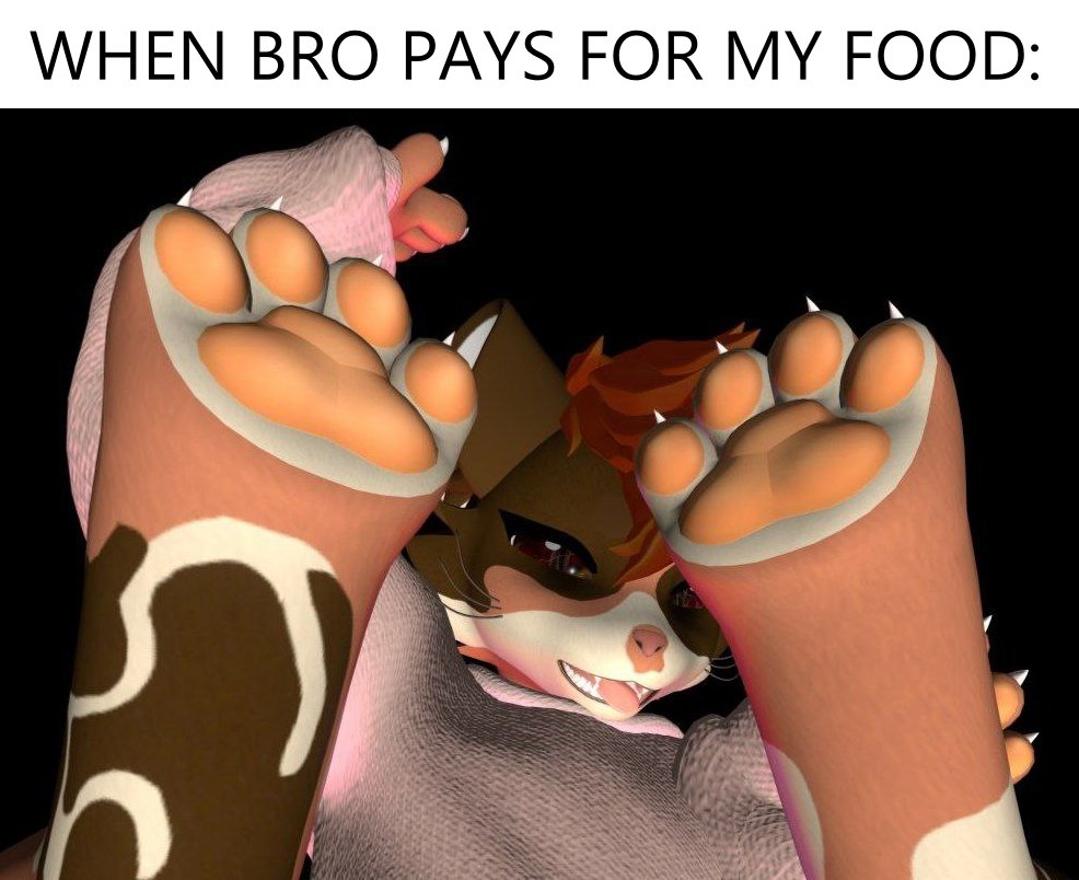 Paws for food, please I'm starving ;w;