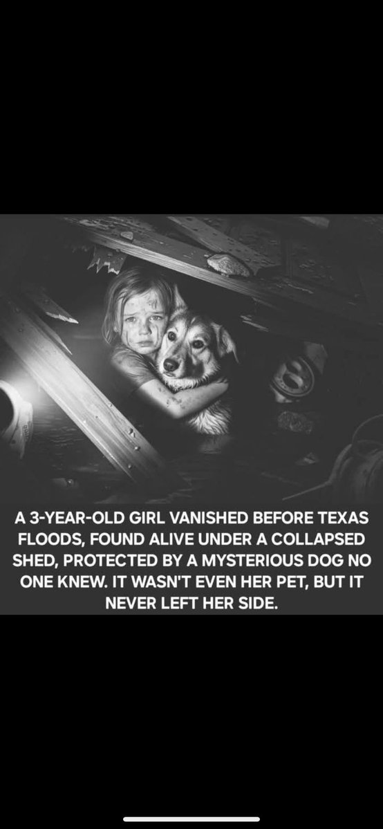 505Cali2's tweet image. The little girl is now safe, recovering at home with her family. As for the dog?
Locals are already rallying to adopt the mystery hero, though many say it's clear who it's already chosen to protect.
Some stories don't need words.
This one needed four legs, a heartbeat and a storm