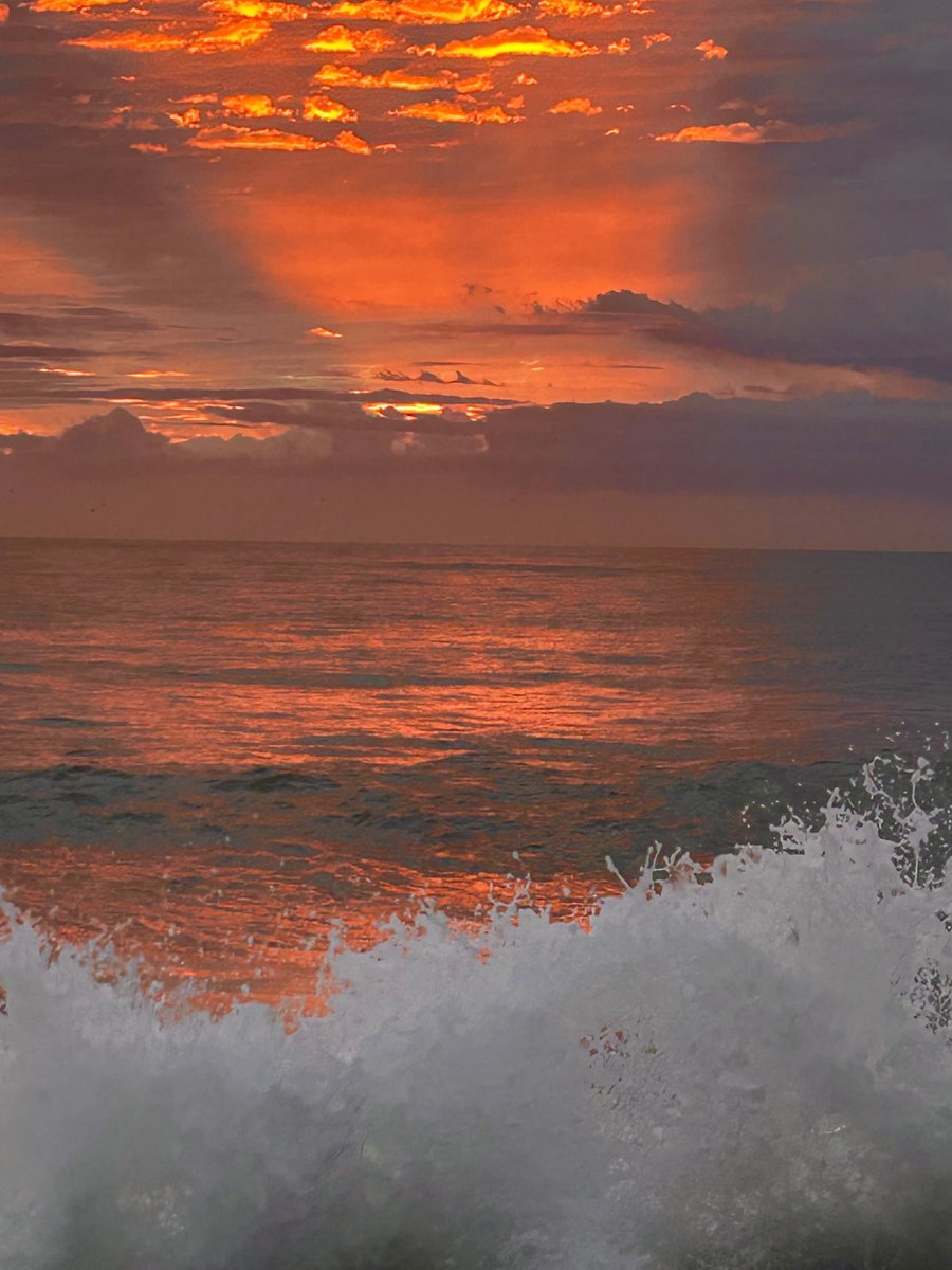 PatriciaLongw10's tweet image. What a morning