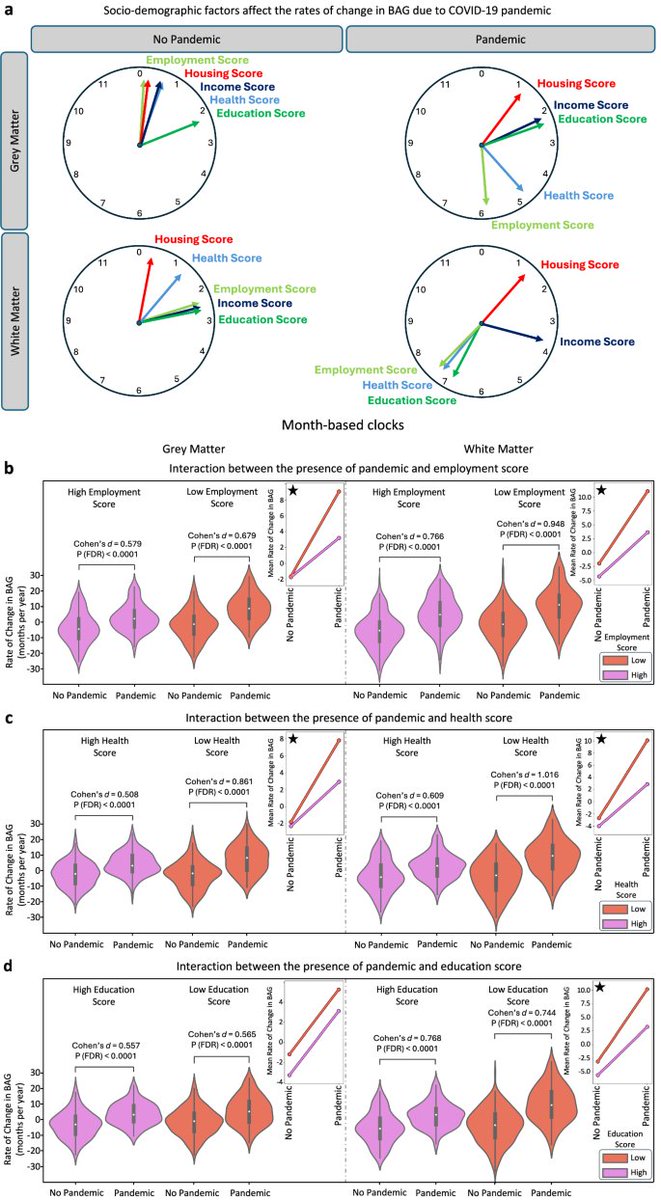 Waggoner Lab (@labwaggoner) on Twitter photo People’s brains aged faster during the COVID pandemic — even the uninfected <a href="/Nature/">nature</a>
nature.com/articles/d4158…
<a href="/NatureComms/">Nature Communications</a> <a href="/alirezamnk/">Ali-Reza Mohammadi-Nejad</a> <a href="/SNSotiropoulos/">Stam Sotiropoulos</a>
<a href="/SPMIC_UoN/">SPMIC</a> <a href="/IPFdoc/">Gisli Jenkins</a>
nature.com/articles/s4146… People’s brains aged faster during the COVID pandemic — even the uninfected <a href="/Nature/">nature</a>
nature.com/articles/d4158…
<a href="/NatureComms/">Nature Communications</a> <a href="/alirezamnk/">Ali-Reza Mohammadi-Nejad</a> <a href="/SNSotiropoulos/">Stam Sotiropoulos</a>
<a href="/SPMIC_UoN/">SPMIC</a> <a href="/IPFdoc/">Gisli Jenkins</a>
nature.com/articles/s4146…