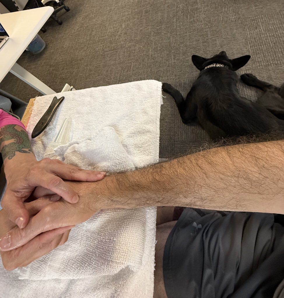 ReeveSwainston's tweet image. Everywhere I go, Sasha goes — even here, where some psycho OT chick is going full rage mode on the scar tissue in my hand like it owes her money.
She swears she’s “preventing a fourth surgery.” I’m pretty sure she’s just angry at men.
Sasha’s chillin’, almost too much, like…